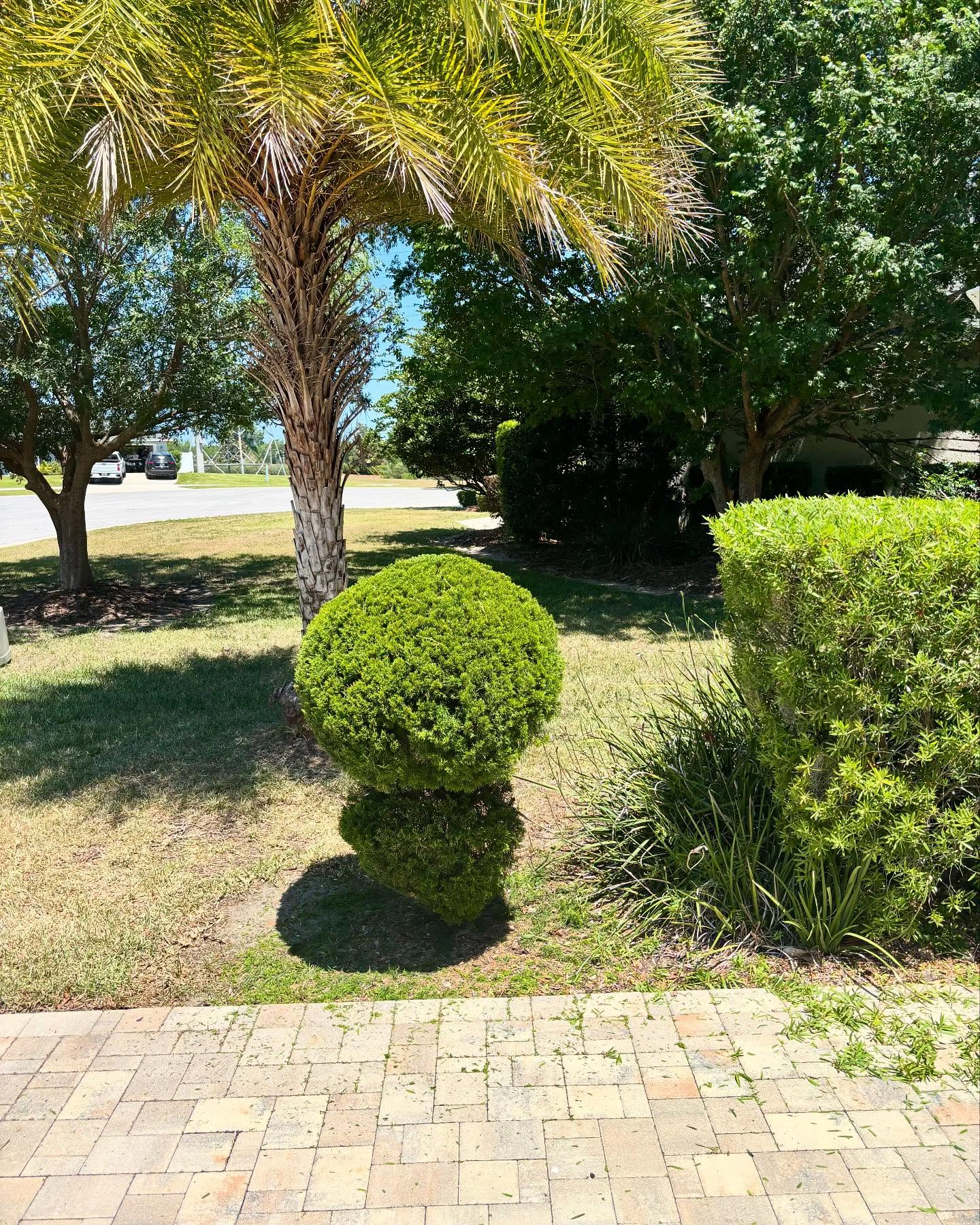 Trimmed hedges and landscaping