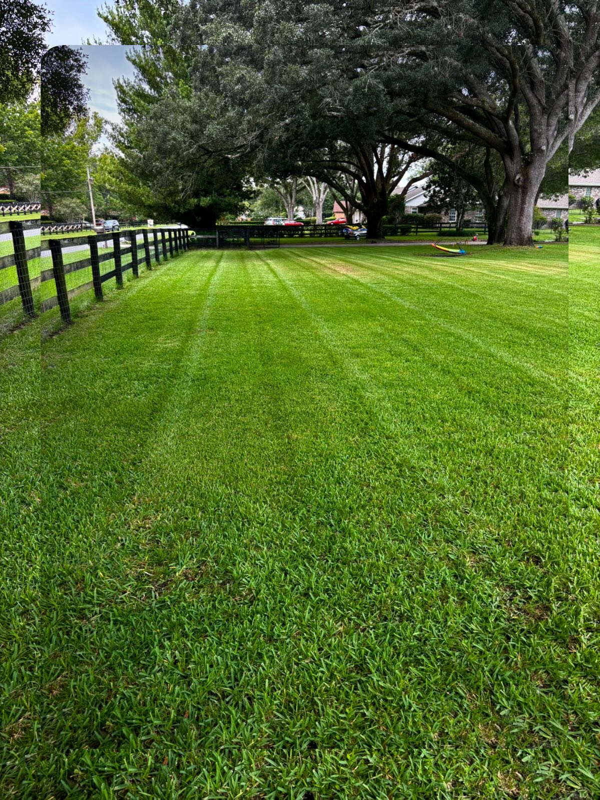 Freshly mowed lawn with stripe pattern