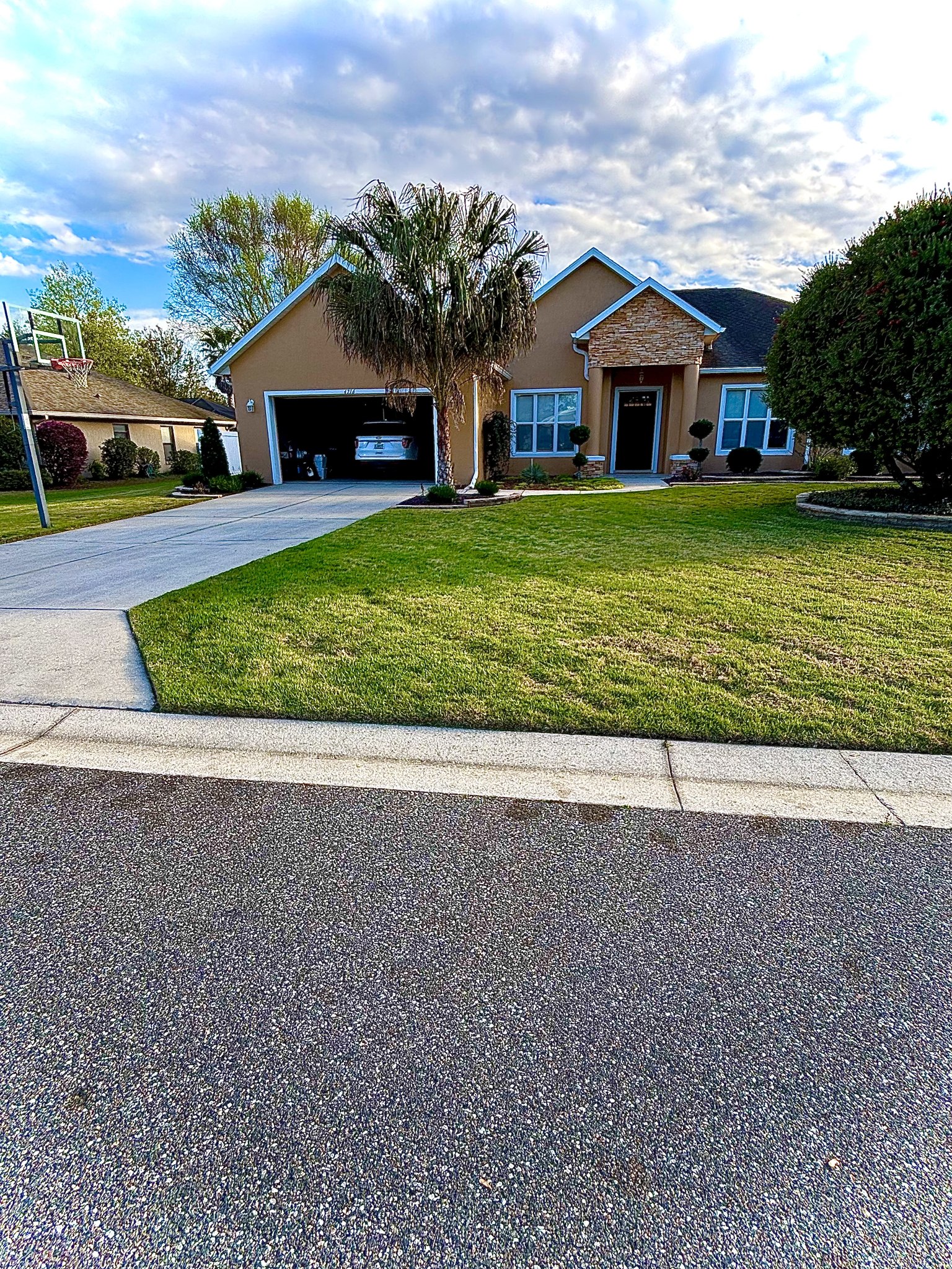 Clean lawn with palm tree landscaping