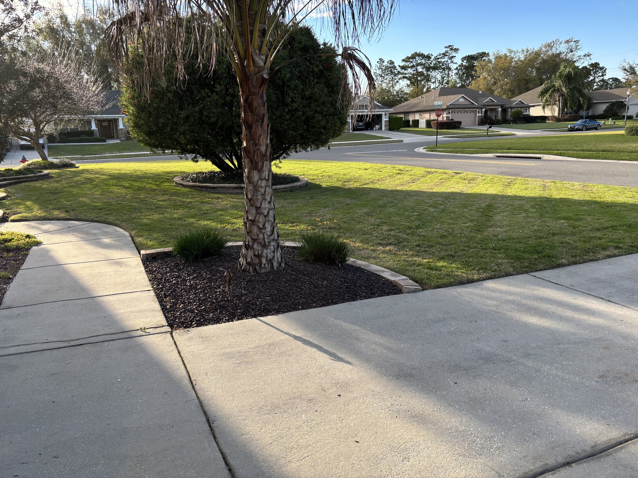 Neighborhood lawn maintenance