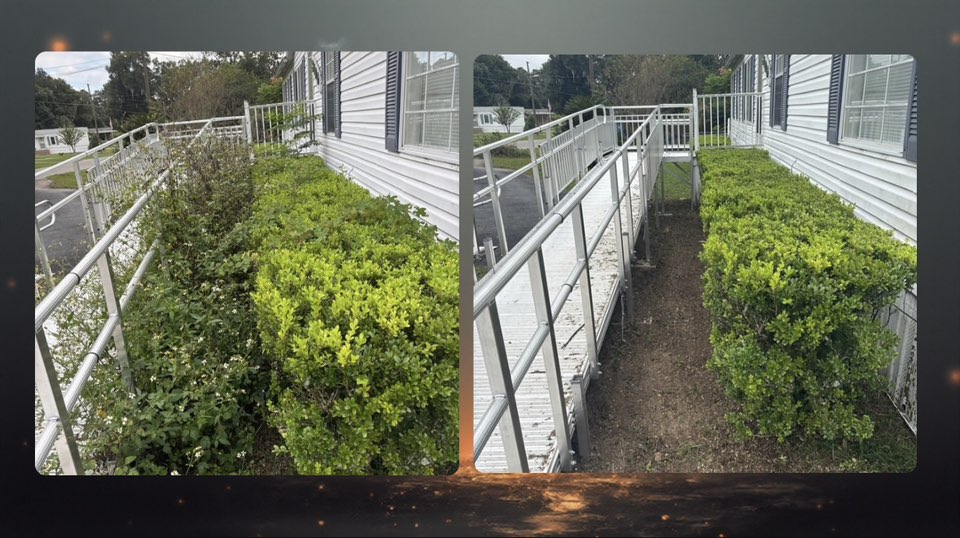 Weed control before and after